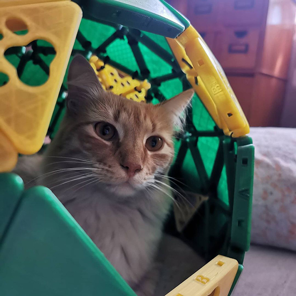 3D打印猫窝