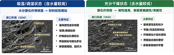 PA-CF干燥与受潮状态下打印件断裂形貌对比