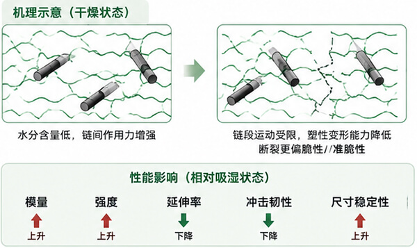 PA-CF干燥状态