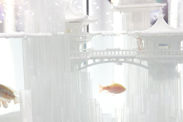 PETG-Clear展品