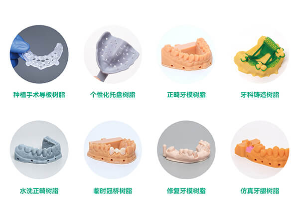 齿科树脂模型
